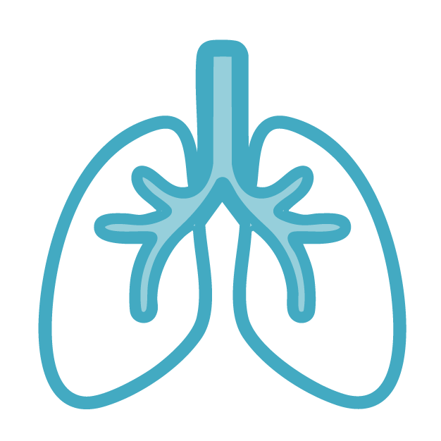 Adult Airway icon